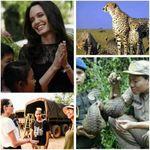 آنجلینا جولی ۶۰۰۰ هکتار از زمین های کامبوج را که تحت نفوذ شکارچیان ...