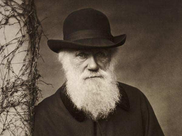 چارلز داروین دانشمندی که عاشق بازی تخته نرد بود