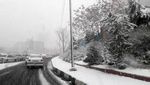 بارش برف در آزادراه تهران - شمال