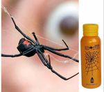 عجیب ترین عنکبوت جهان، عنکبوت سرگردان برزیلی نام دارد، که زهرش بجای کشتن یا زخمی کردن باعث قوی کردن...
