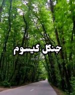  آخرین بار کی رفتین گیسوم  berim__safar  جنگل گیسوم جنگلی فوق‌العاده زیبا بکر و ۸۰ هکتاری است که در...