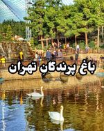  کیا ازین باغ بازدید کردن چطور بوده   اینجا بزرگترین و کاملترین باغ پرندگان ایران  berim__safar  شن...