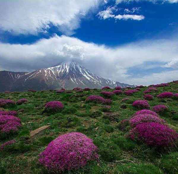 دماوند زیبا سربلند و پرابهت