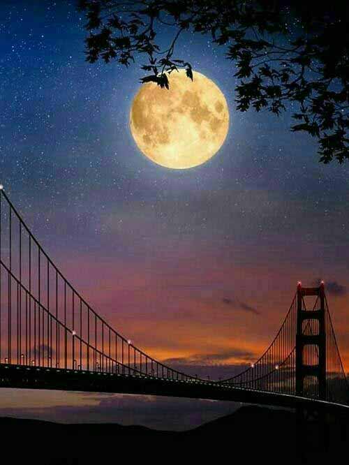 شب ها نور ماه در چشم تو می درخشد شب بخیر هایت ماه