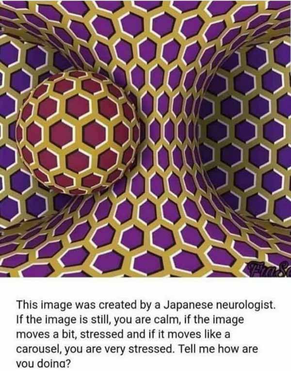این عکس توسط دانشمندان نورولوژیستِ ژاپنی اختراع ش