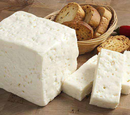 جلوگیری از کپک زدن پنیر پنیر را در ظرف پلاستیکی م