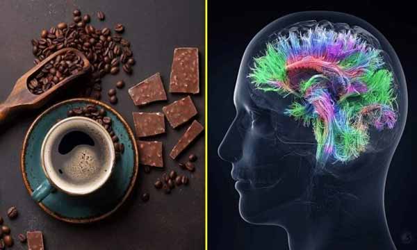 اثرات «قهوه و شکلات» بر هوش انسان
