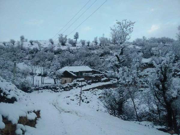 روستای مرگاب علیا در دودانگه ساری عکس علی قلی نژا