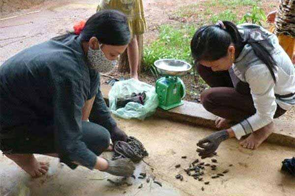 تایلندی ها به اندازه صادرات نفت ایران، از فروش زا