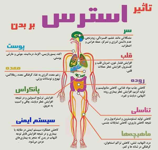 ویرانیهایی که استرس در بدن ما به جا می گذارد کم ا