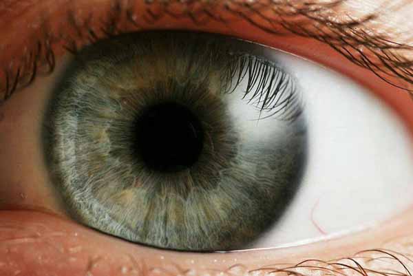 تنها قسمتی از بدن که خون ندارد قرنیه چشم است
