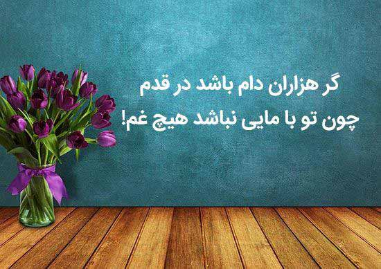 گر هزاران دام باشد در قدم چون تو با مایی نباشد هی