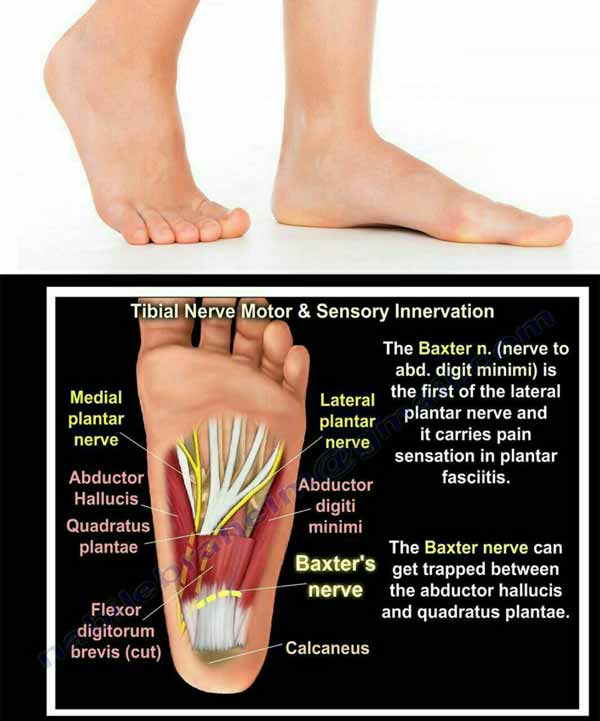 در پاها حدود8000 عصب وجود دارد از دلایل تغییرات ن