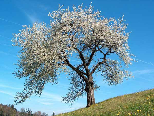 آســــوده کـس نـشـــد ز بـلایـــای زنـدگـی جــــز