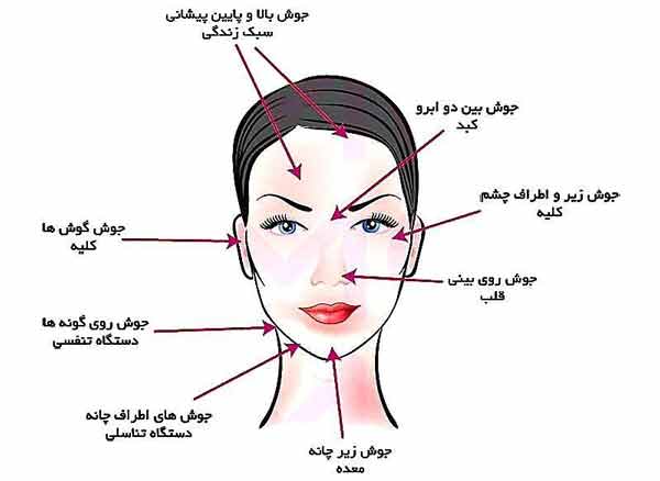 درمان خانگی برای جوش صورت  برگ های ریحان را به مد