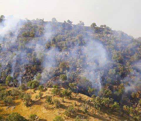 ادامه آتش‌سوزی در منطقه حفاظت‌شده خائیز در کهگیلو