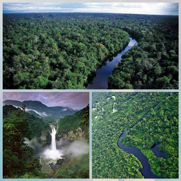 جنگل آمازون یکی از مخوفترین، پهناورترین وزیباترین