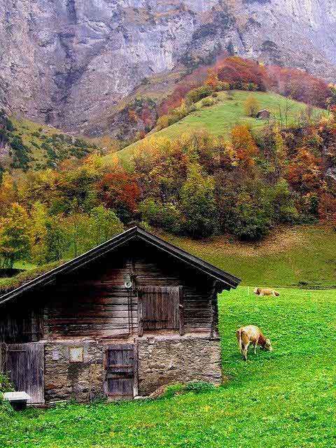 برای موفق شدن باید بیشتر از دیگران بدانی، بهتر از