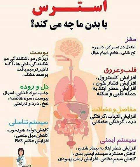 استرس با بدن ما چه می‌کند   تاثیر روی مغز  تاثیر 