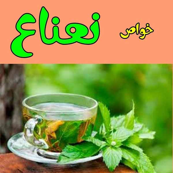 چای_نعناع از پرطرفدارترين دمنوش‌هايی است كه به دل