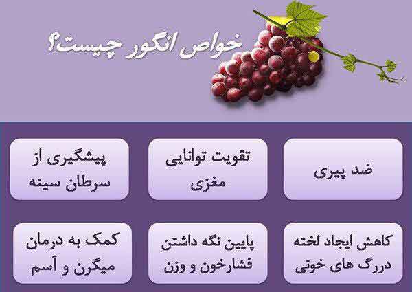 از مهم ترین علل افسردگی ایرانی ها تغذیه ناسالم بخ