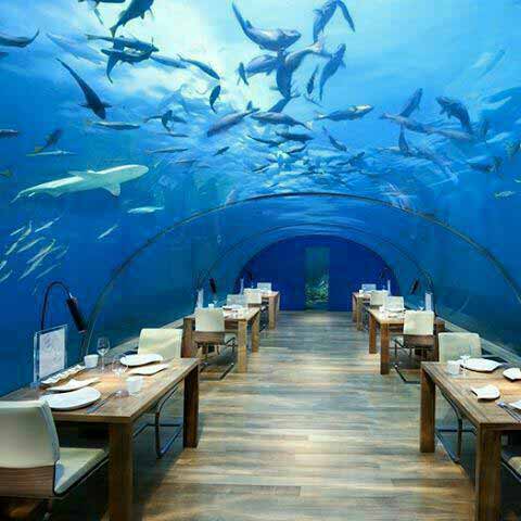 یکی از زیباترین رستوران های زیر آبی در مالدیو و د