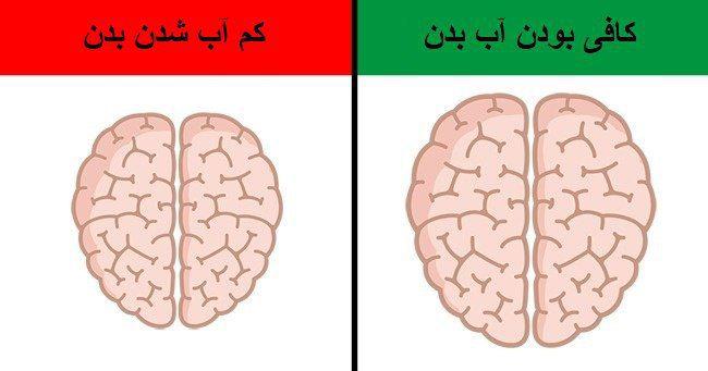 اگر آب کم مصرف می‌کنید، لطفا توجه کنید که مغز به 