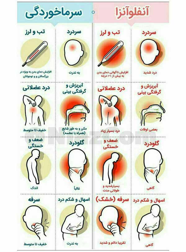 تفاوت سرماخوردگی با آنفلوآنزا تصویر زیر تفاوت های