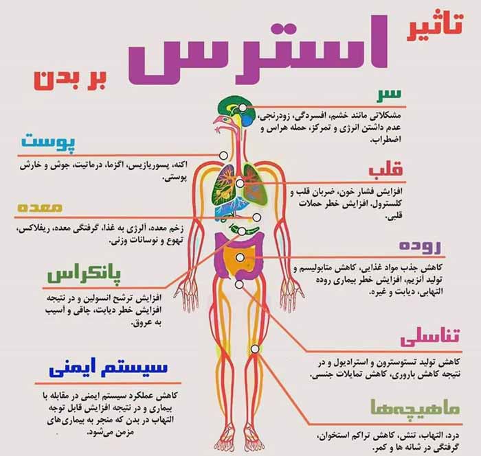 فکر، استرس و ترس، انسان رانابودمیکند میگویند در ر