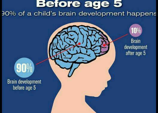90 درصد رشد مغز قبل از پنج سالگی اتفاق میافتد  لط