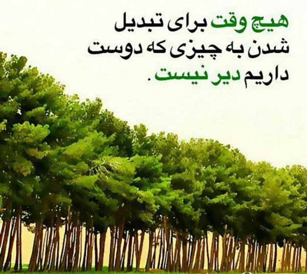 هیچ وقت برای تبدیل شدن به چیزی که دوست داریم دیر 