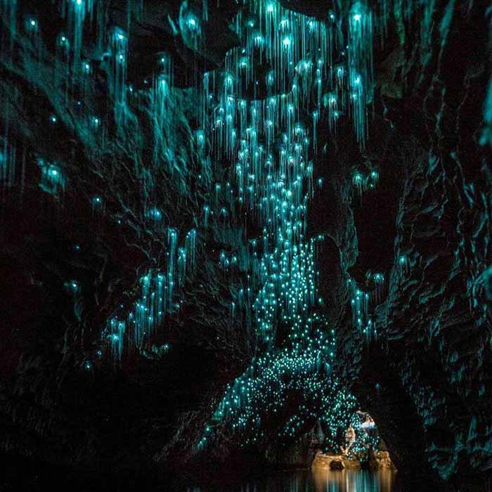 غارهای وایتومو در نیوزیلند با زیبایی بکر تاریکی پ