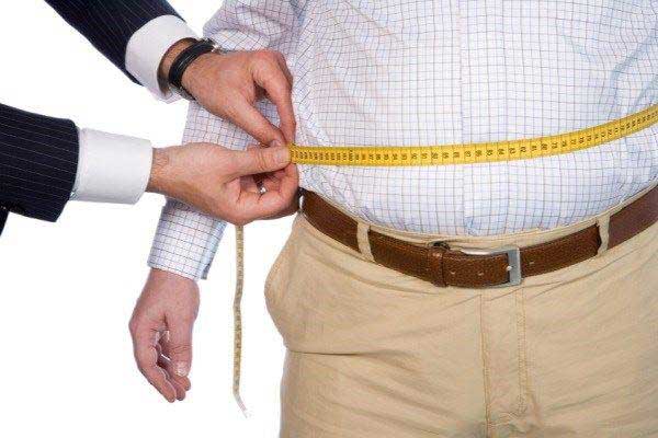 طبق نتایج تحقیقات جدید، سایز شکم روی سایز مغز موث