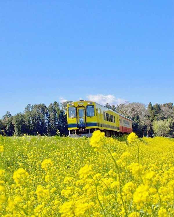 نقش پادری را بازی نكنید فكر می‌كنيد چرا آدم‌هايی 