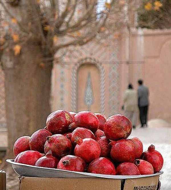 امروز هم به خاطره پیوست  می روم