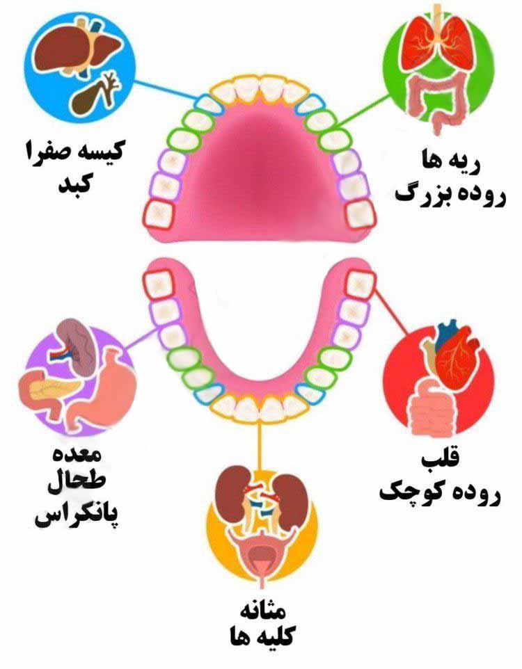 پزشکان ادعا میکنند  درد هر دندان و پوسیدگی بی علت