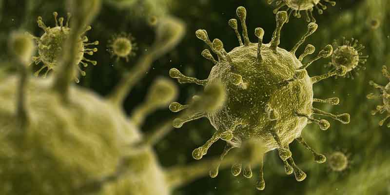 تاثیر یک ویروس سرماخوردگی شایع بر درمان سرطان مثا