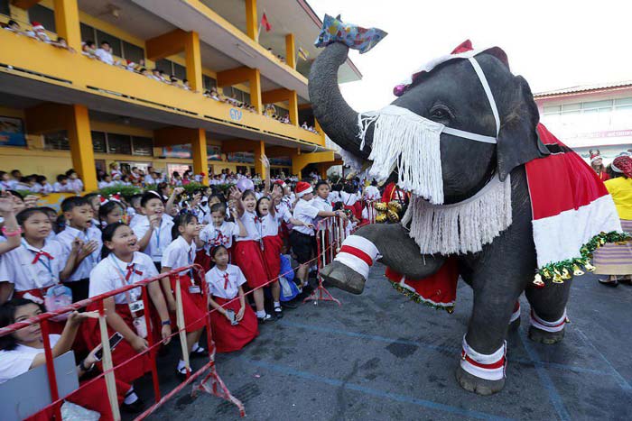 یک فیل در حال اهدای هدیه‌های کریسمس به کودکان تای