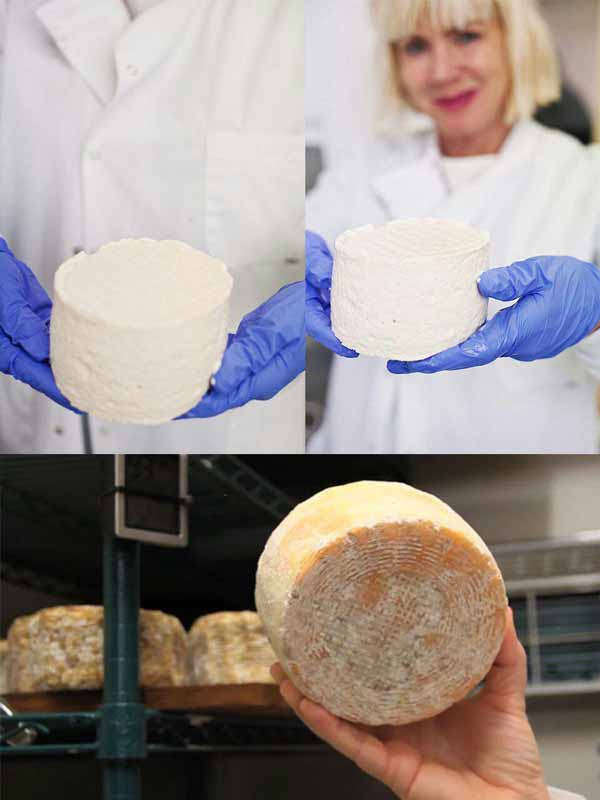 عجیب ترین پنیر جهان پنیری بنام selfmade  این پنیر