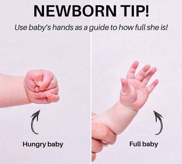 گفته میشود از روی حالت دست نوزادان میتوان فهمید ک