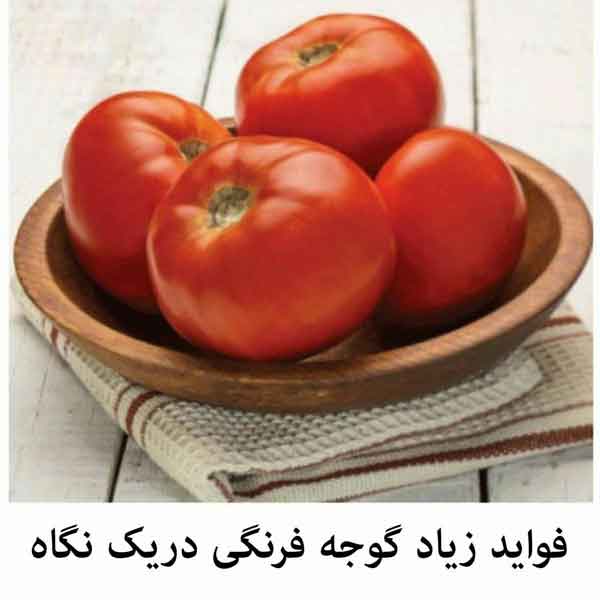 فواید گوجه فرنگی دریک نگاه