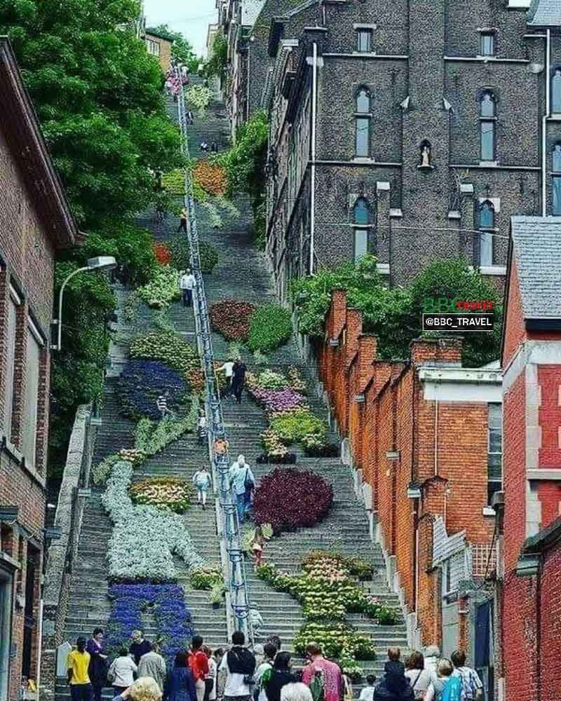 پله‌های جالبی در شهر لیژ کشور بلژیک که با گل‌های 