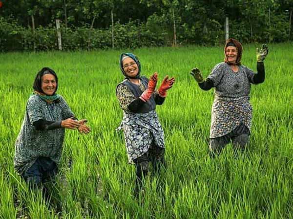 برخلاف باور عمـــــوم که جوونی رو بهترین سال‌های 