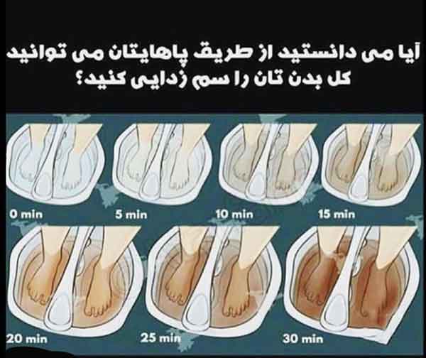 پاهای شما می توانند، بدنتان را سم زدایی کنند تنها