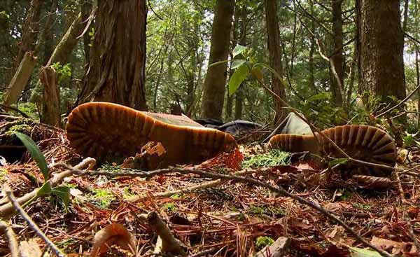 جنگل خودکشی  آمار خودكشى در جنگل گاهارا در كوهپاي
