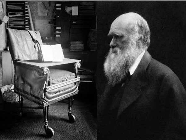 چارلز داروین اولین کسی بود که زیر صندلی های اداری