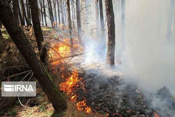 مهار ۸۰۰ آتش‌سوزی در عرصه‌های طبیعی کشور رییس ساز