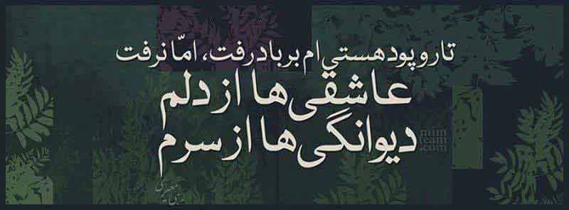 تاگریزان گشتی ای نیلوفری چشم از برم در غمت از لاغ