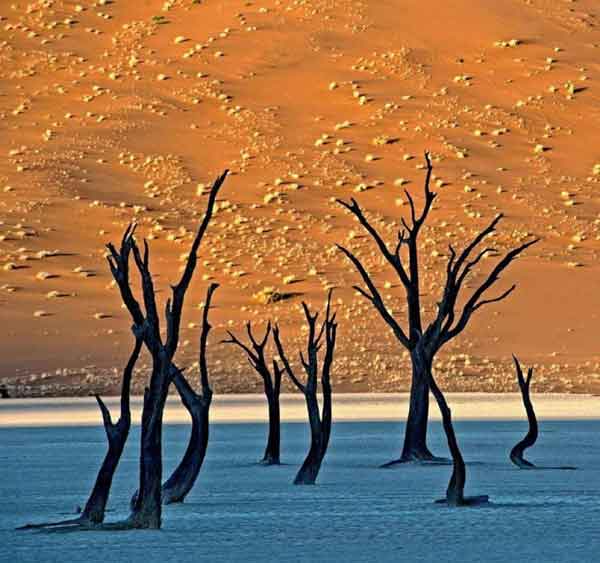 صحرای نامیبیا که شبیه به نقاشی است