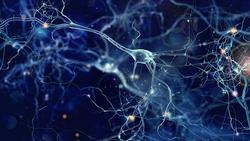 نانوابزاری شبیه سلول‌های مغز انسان، جایگزین ترانز